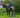 Red Gorilla Launches the Step Up: A Game-Changer for Horse Owners - Red Gorilla - UK
