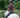 Red Gorilla® agrees 3-year sponsorship deal of the British Dressage Combined Training Championships - Red Gorilla - UK