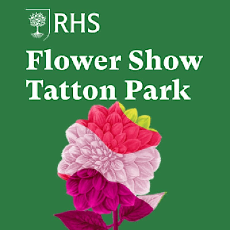 Shows & Exhibitions – Red Gorilla