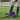 #colour_purple