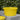 Premium Shallow Bucket - Red Gorilla - PRM/SHLW/R